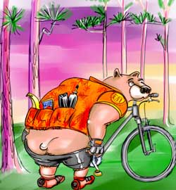 mountin bike bear shows his butt