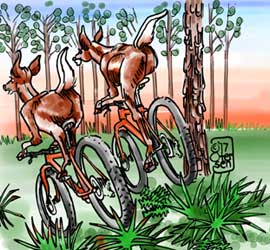 2 MTB deers hop cabbage palms