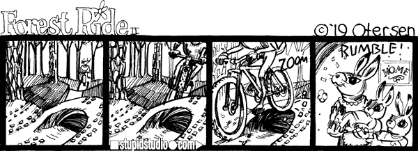 Tortoise story 2: bike rumble