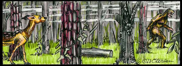 Sasquatch in the forest